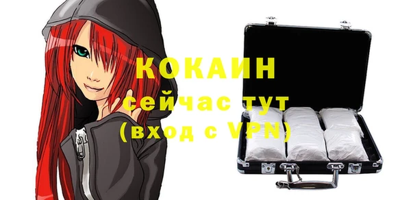 твердый Верея