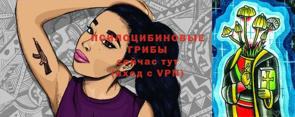 твердый Верея