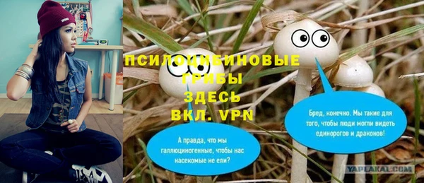 твердый Верея