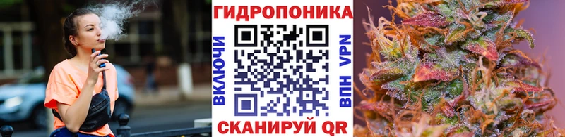 Купить где  Гай  Конопля Bruce Banner 